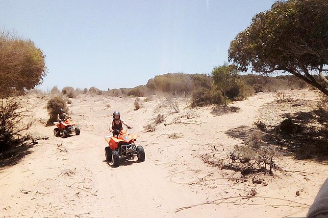 2h quad bike on the beach and in the dunes - Quad bikes on the Atlantic beach: low tide, fresh water, and animal life