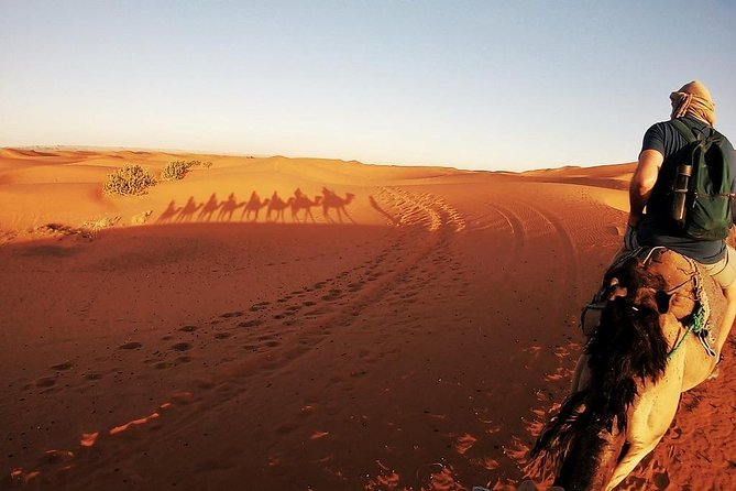 3-day, 2-night desert tour from Fes to Marrakech - Day 2: Desert timing, Todra gorges, and the road of kasbahs