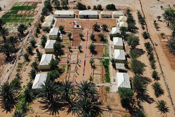 3-day, 2-night desert tour from Fes to Marrakech - Who should book this Fes to Marrakech desert tour