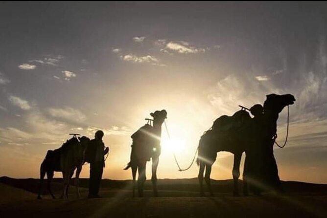 3-day 2-nights desert adventure and Berber encounter - Berber tea and a human start in Zagora