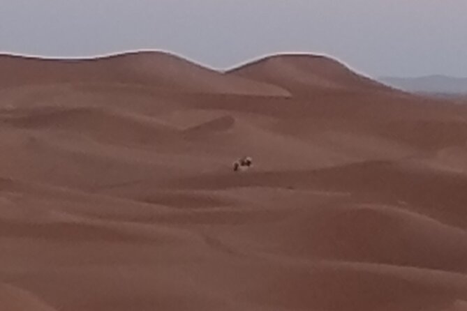 3-day 2-nights desert adventure and Berber encounter - What you’ll need for this kind of desert trip