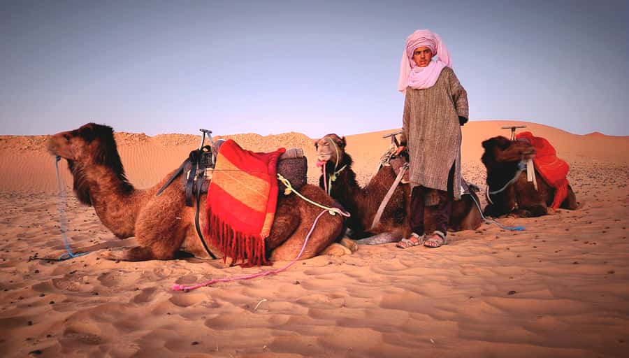 3-Day Desert Adventure: Ouarzazate to Merzouga - Erg Chebbi sunrise: the second camel ride that changes the dunes
