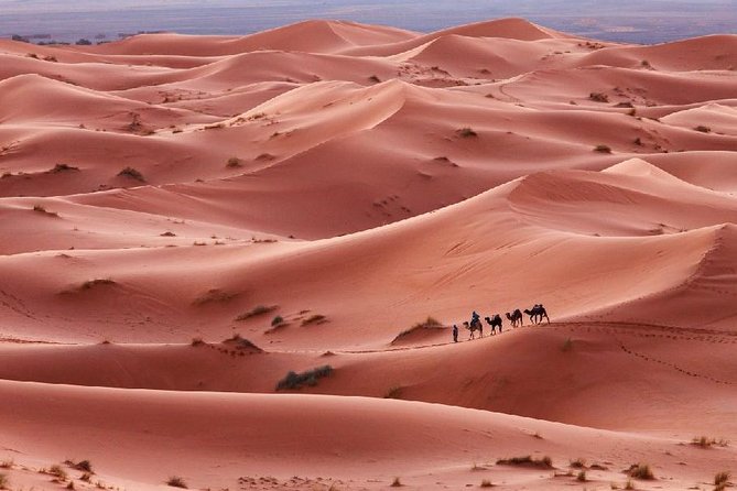 3-Day Desert Experience from Marrakech - Where this tour does a great job: desert stars, included meals, and iconic stops