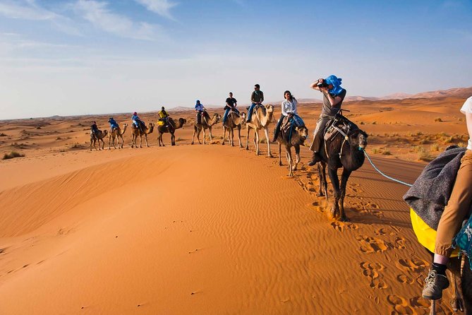 3 Day Desert Tour From Marrakech To Fes - Day 3: sunrise sand rays, breakfast in the bivouac, and Fes by way of the Middle Atlas