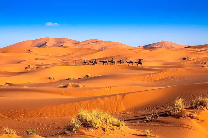 3-Day Desert Tour: Marrakech to Fes via Merzouga - Key highlights worth your attention