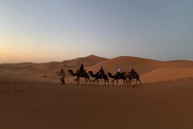 3-Day Desert Tour to Fez: Ouarzazate and Berber Village from Marrakech - Camel trek into Erg Chebbi: sunset is the main event