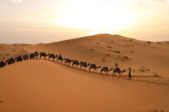 3-Day from Fes to Marrakech A Memorable Moroccan Adventure - Middle Atlas road stops: Ifrane, Azrou cedar forest, and Midelt’s fossils