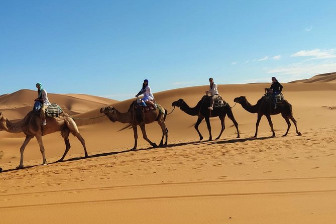 3 day from fes via desert Marrakech - Day 2: Desert sunrise, shower return, and the Todra Gorge to Ouarzazate route