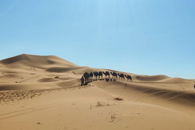 3 day from fes via desert Marrakech - Value and price: what $682.18 covers (and what you’ll still pay)