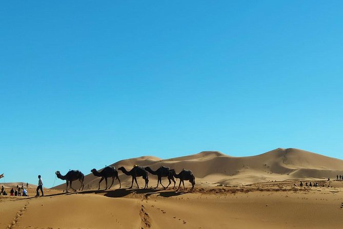 3 day from fes via desert Marrakech - Day 1: Midelt, cedar country near Azrou, and a real Erg Chebbi camel night