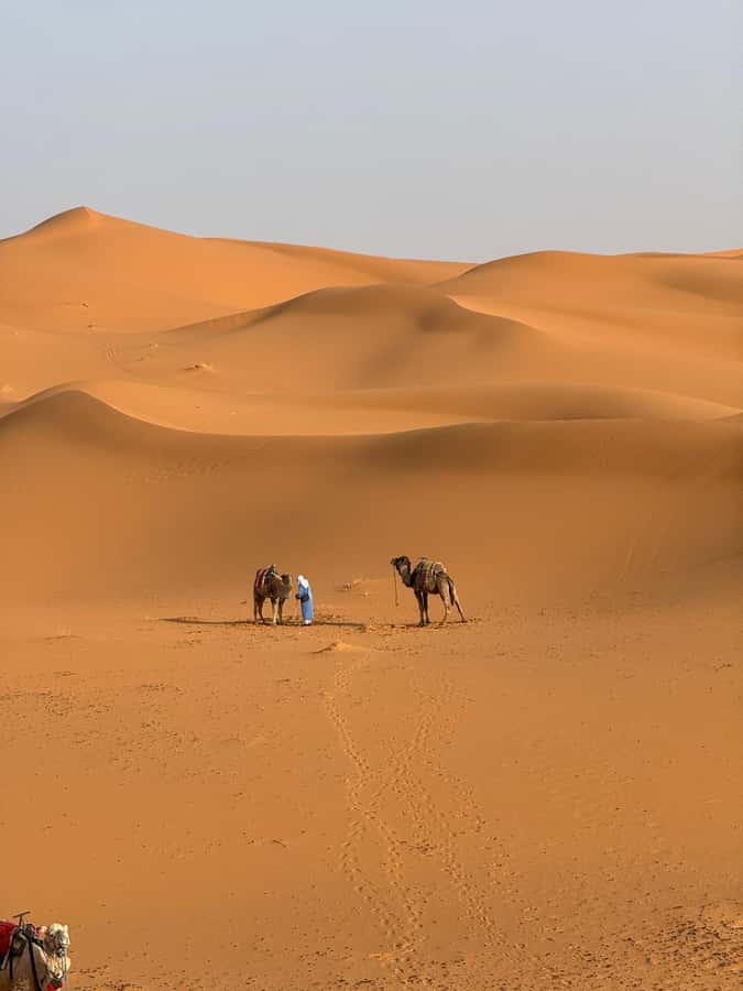 3-Day luxury Adventure: Marrakech to Merzouga incl.Quad/show - Day 2 to Merzouga: Todra Gorge Views, Erfoud Stops, Then Erg Chebbi at Sunset