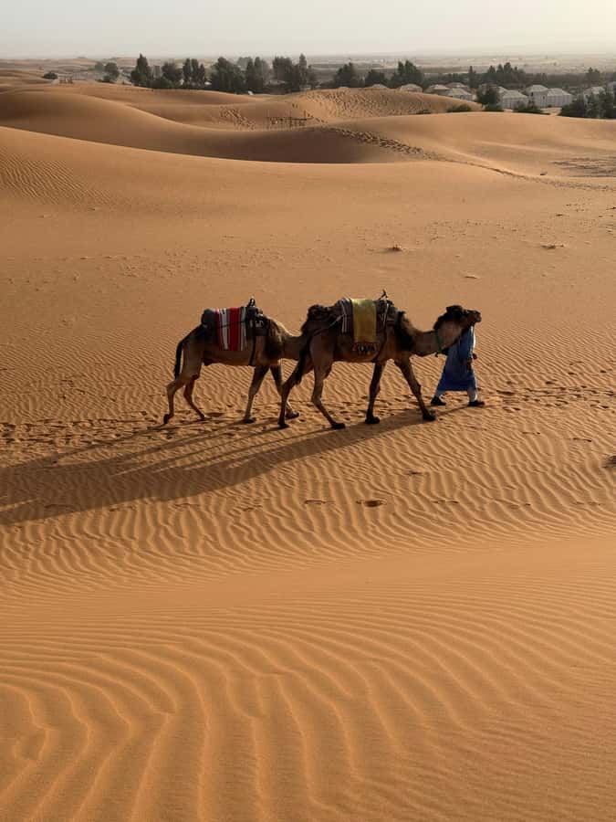 3-Day luxury Adventure: Marrakech to Merzouga incl.Quad/show - Camel at Sunrise and the Quad Ride: Two Ways to Feel the Sahara