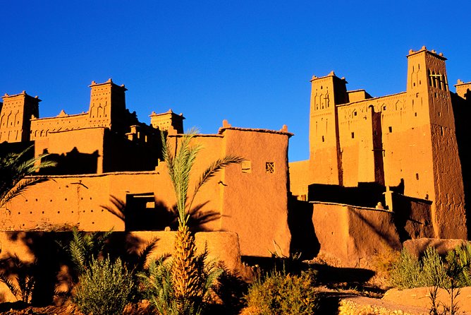 3-Day Luxury Desert Tour from Marrakech to Merzouga Desert - Day 3: sunrise camel ride, then the long return through Draa Valley