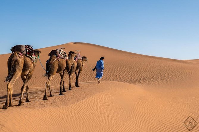 3 Day Luxury Tour: Sahara desert & luxury camp from Marrakech - Price And Value: Why $133.76 Can Make Sense