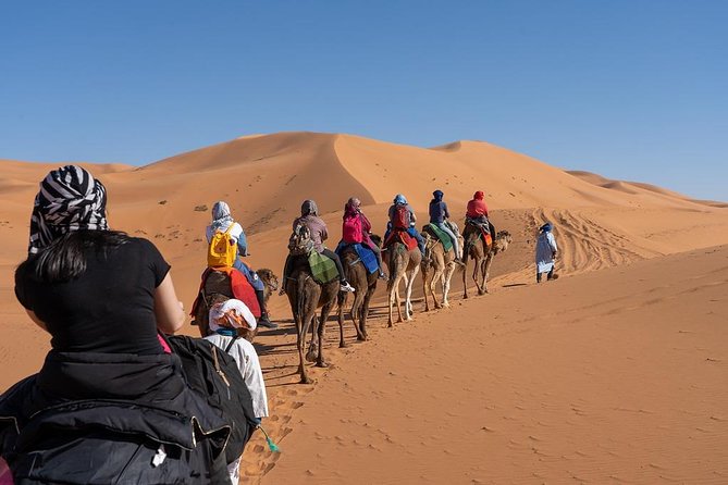3 Day Marrakech to Fes desert Tour - Camel Trek - Day 2: Todra Gorges to Merzouga via Jorf Palms, Erfoud Workshops, and Erg Chebbi Dunes