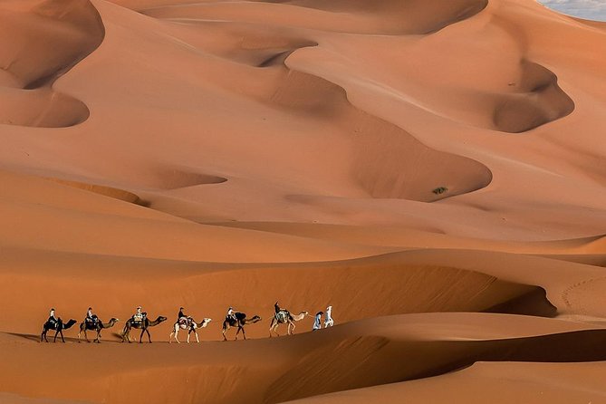 3 Day Marrakech to Fes desert Tour - Camel Trek - Who This Camel Trek Tour Fits Best