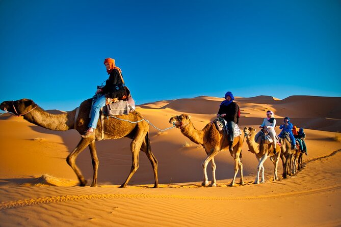 3-Day Marrakech to Fes: Merzouga Desert, Atlas and Ait Ben Haddou - Sunrise to Fes: Ziz Valley palms, Midelt lunch time, and Ifran’s piney break
