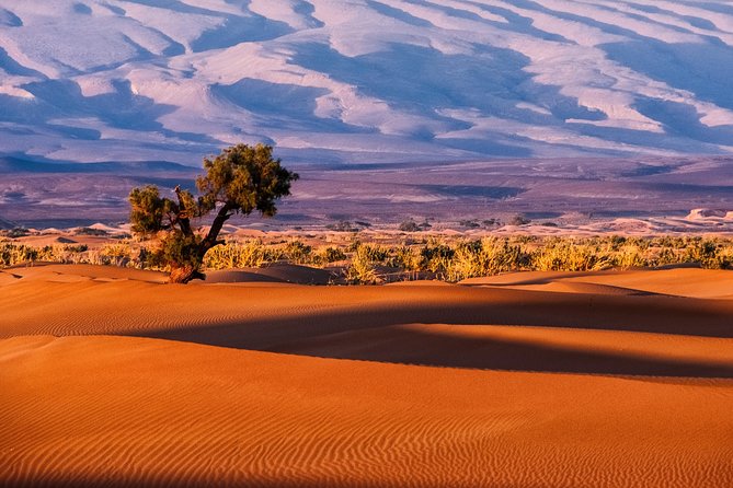 3-Day Merzouga Desert Trip From Fes To Marrakech - Day 2: Todra Gorges, Dades colors, Skoura roses, and a night in Ouarzazate