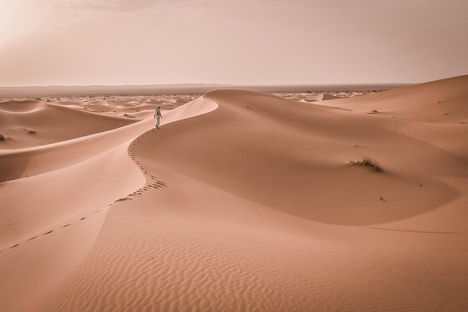 3-Day Merzouga Desert Trip From Fes To Marrakech - Private transportation and driver quality (including the small stuff)
