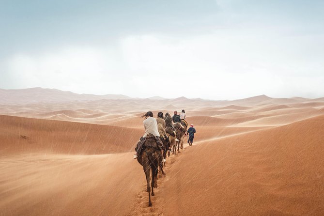 3-Day Merzouga Desert Trip From Fes To Marrakech - Day 1: Ifrane, Azrou monkeys, the Ziz valley, then Erg Chebbi sunset