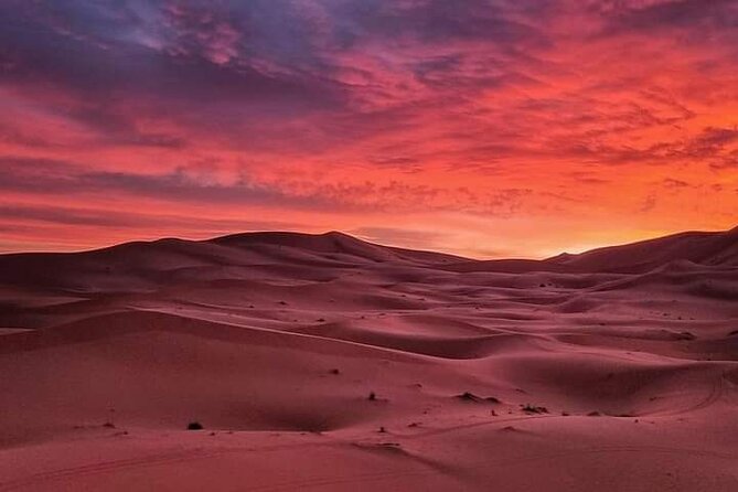 3 Day Morocco Tour: Fes to Marrakech via Sahara & Atlas - Pickup in Fes, then let the road do the work