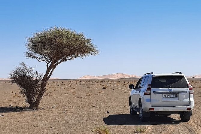 3 Day Private 4x4 Adventure in Merzouga Odyssey from Marrakech - Price and Value: Is $780 Reasonable?