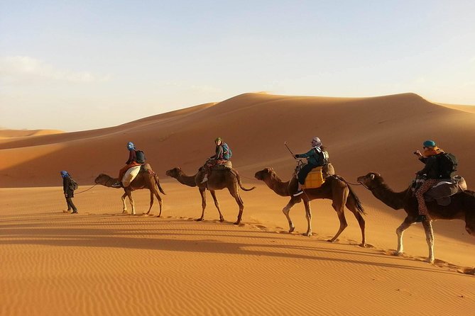 3-Day Private Desert Tour from Marrakech to Fez - Ait Benhaddou and the Skoura palm oasis: kasbah stops that actually add variety