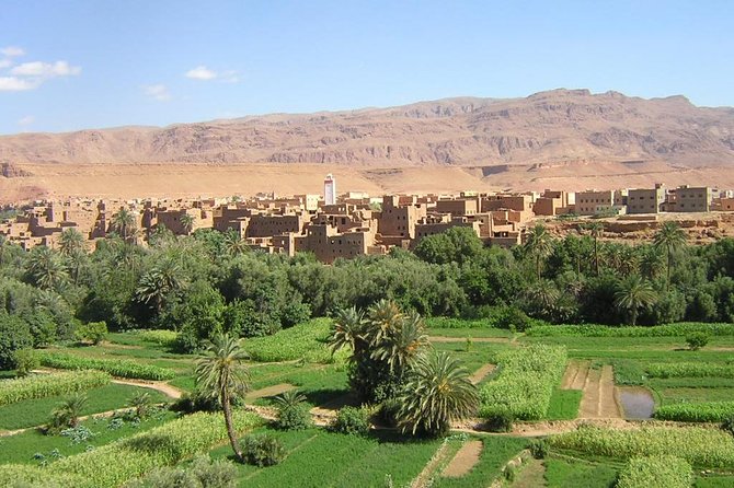 3-Day Private Desert Tour from Marrakech to Fez - Merzouga to Erg Chebbi: camel safari, sunset, and the night under stars
