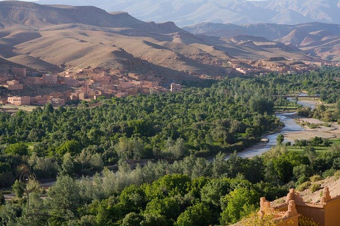 3-Day Private Desert Tour from Marrakech to Fez - Ziz Valley, Errachidia, Midelt, and the Cedar Forest monkeys