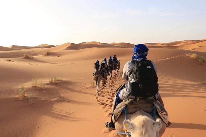 3-day Private Desert Tour From Marrakech to Merzouga - Day 3: Erg Chebbi sunrise, breakfast, then a long return via Rissani and Draa Valley