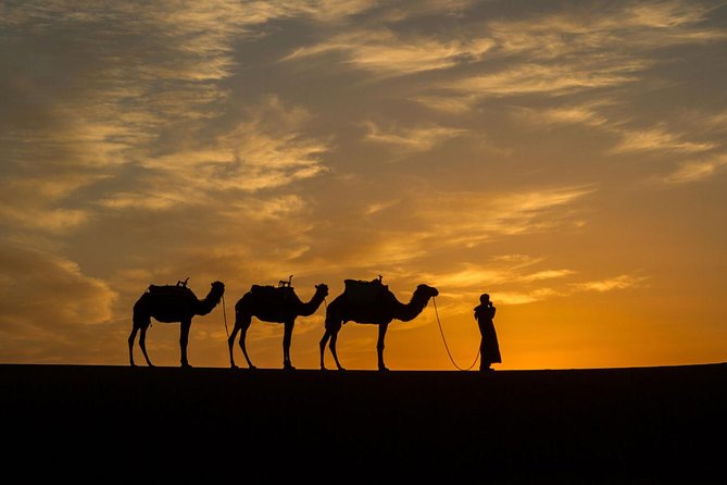 3-Day Private Morocco Desert Tour from Agadir to Erg Chigaga Dunes - Price and what you get for $564.56: private, guided, and two nights out
