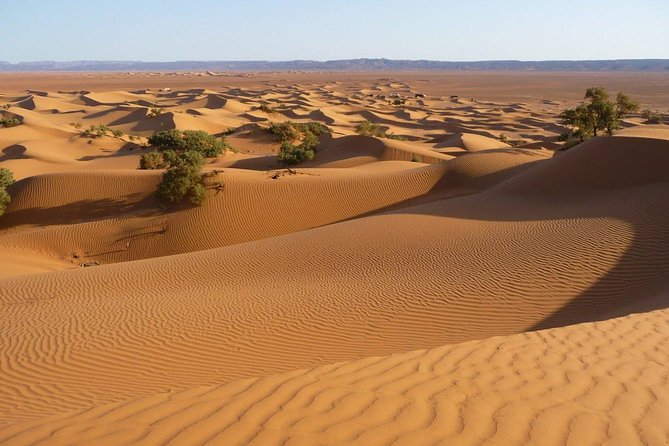 3-Day Private Morocco Desert Tour from Agadir to Erg Chigaga Dunes - Day 3: sunrise, breakfast, and the return via Iriki Lake and Foum Zguid
