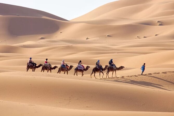 3-Day Sahara Adventure: Marrakech to Fez via Merzouga - Marrakech to Fez in 3 Days: what this tour is really doing
