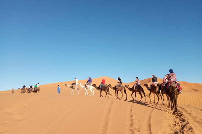 3 Day Sahara Desert Tour From Marrakech - Who this Sahara trip is best for (and who should reconsider)