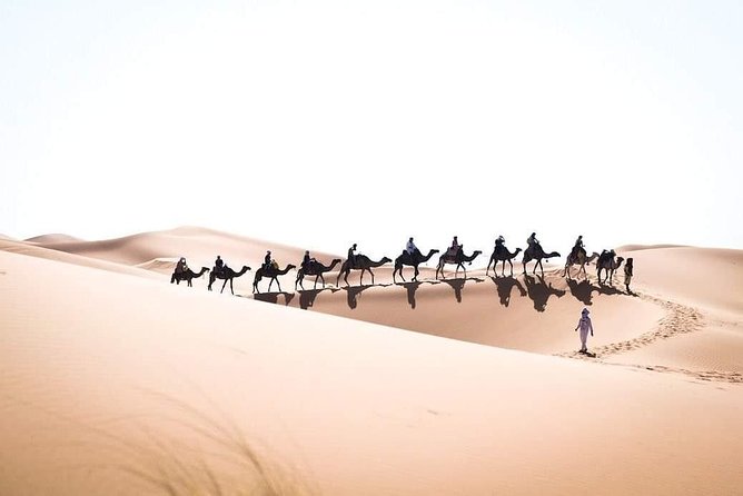 3 Day to Sahara Desert Trip From/To Marrakech - Day 3: Rissani and the Atlas pass ride back to Marrakech