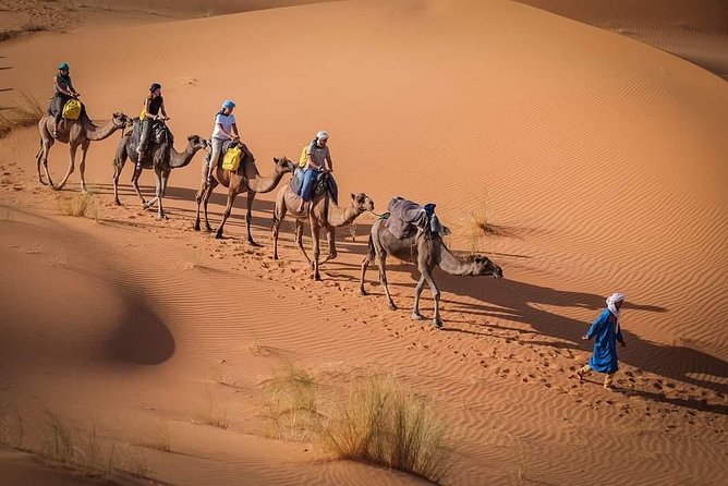 3 Day to Sahara Desert Trip From/To Marrakech - Who this 3-day Sahara trip is best for