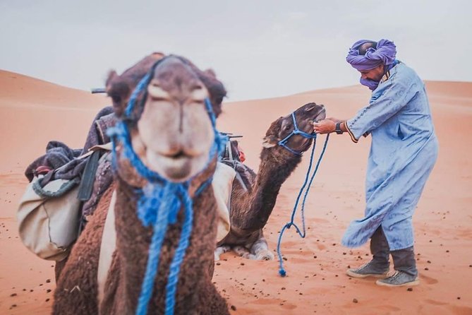 3 Day to Sahara Desert Trip From/To Marrakech - Day 1: Aït Benhaddou kasbah and the long road to Dades Gorge