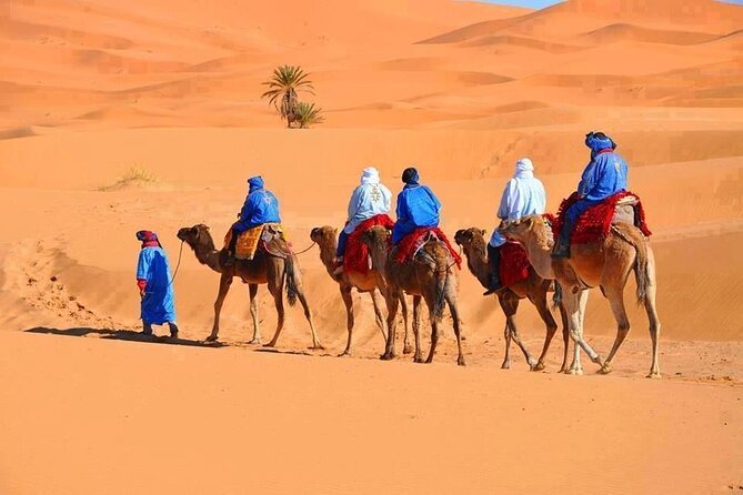 3-Day Tour from Marrakech to Merzouga Desert - Key highlights to expect
