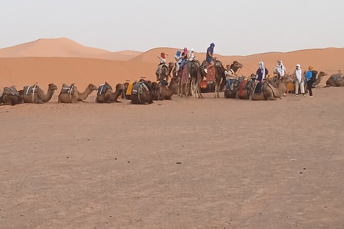 3-Day Tour to Merzouga Erg Chebbi visiting villages & Camel trek - Tizi n-Tichka: the view stop that’s worth dressing for