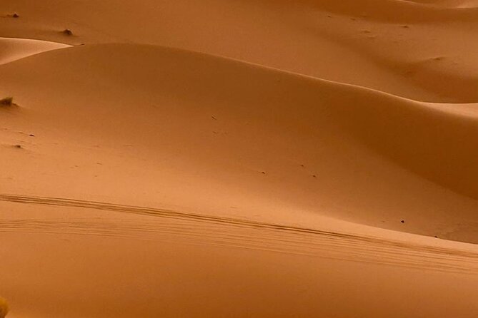 3-Day Tour to Merzouga Erg Chebbi visiting villages & Camel trek - Erg Chebbi camel trek and the desert camp reality check