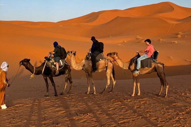 3-Day Tour to Merzouga Erg Chebbi visiting villages & Camel trek - Day 3: the long drive back to Marrakech