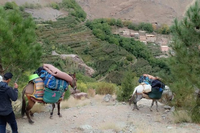 3 Day Trek in the Atlas Mountains and Berber Villages from Marrakech - Day 1: Imlil, Tizi n’Tamaterte, and a first night in a village guesthouse