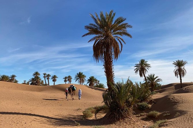 3-day trek - In the shade of palm trees - Key things to know before you go