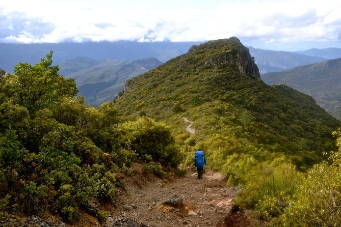 3-Day Trekking from Chefchaouen – Rif Mountains Adventure - Price and value: what you’re paying for at $232.29