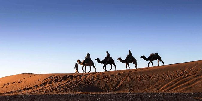3 Days 2 Nights Adventure from Marrakech to Fez via Desert - Food, Comfort, and the Lodging Trade-Offs