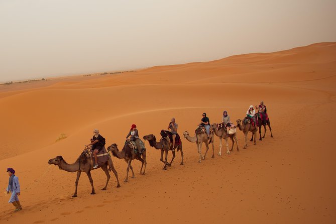 3 Days 2 Nights Adventure from Marrakech to Fez via Desert - Price and Logistics: Is $150 Good Value?