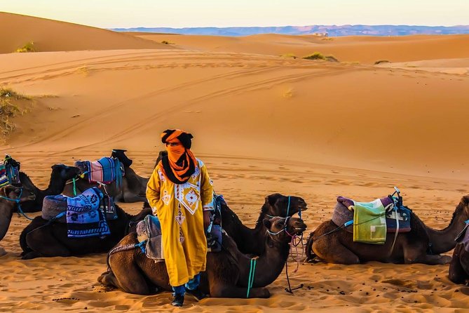 3 Days 2 nights Desert Tour from and back to Marrakech - Should you book this 3-day desert tour from Marrakech?