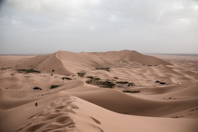 3 Days 2 Nights Desert Tour from Fes to Marrakech via erg Chebbi - The most praised parts to expect in real life