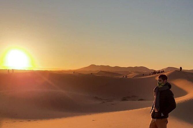 3 Days 2 Nights Desert Tour from Fes to Marrakech via Merzouga - Day 2: Middle Atlas Return, a Shower Break, Todra Gorge, and Rose Valley Flavor