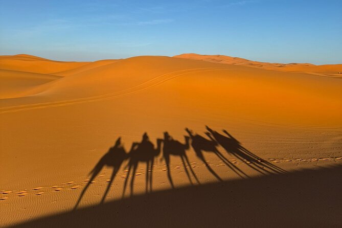 3 Days 2 Nights Desert Tour from Fes to Marrakech via Merzouga - Day 3: Ouarzazate Time, Ait Ben Haddou UNESCO Focus, and the Tizi n Tichka Pass